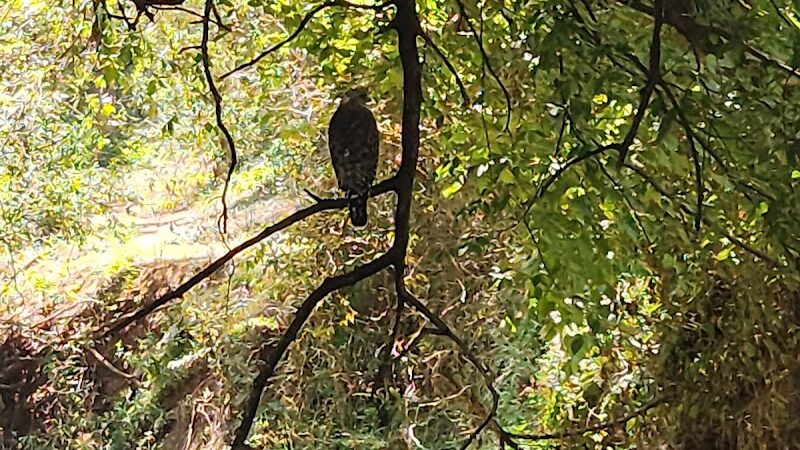 Palmer Loop - North Trailhead - Midwest City, OK