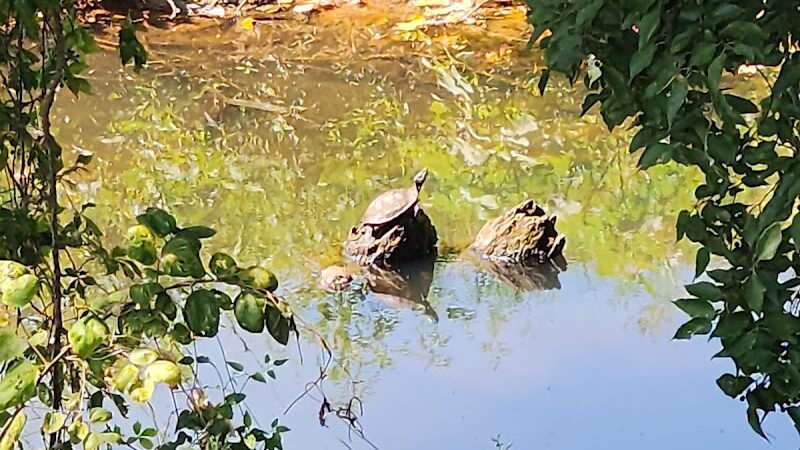Palmer Loop - North Trailhead - Midwest City, OK