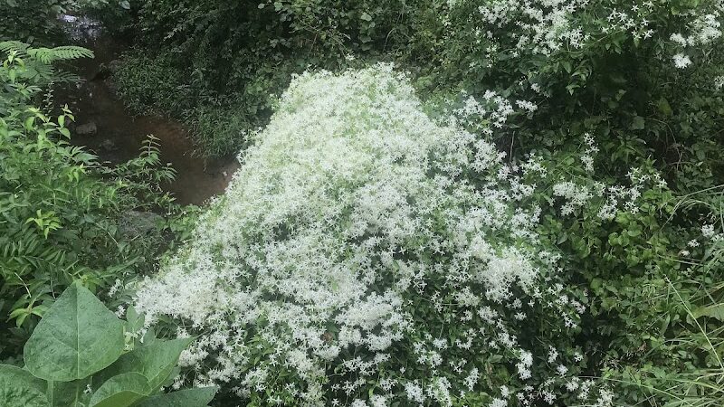 Palmer Loop - North Trailhead - Midwest City, OK