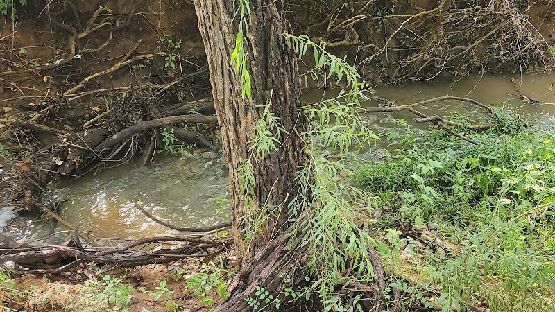 Palmer Loop - North Trailhead - Midwest City, OK
