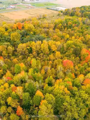 Milan Nature Park - Milan,