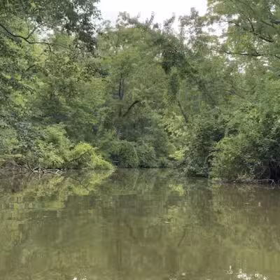 Milan Nature Park - Milan,