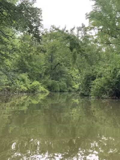 Milan Nature Park - Milan,