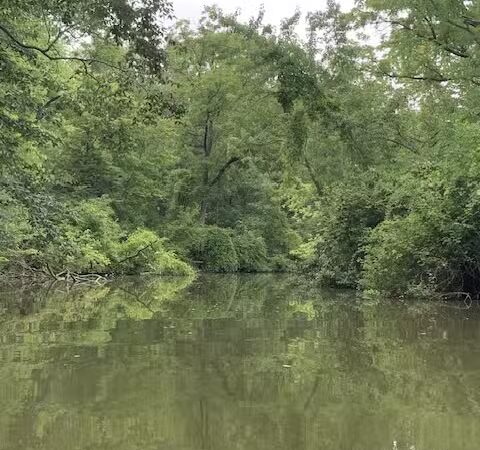 Milan Nature Park - Milan,