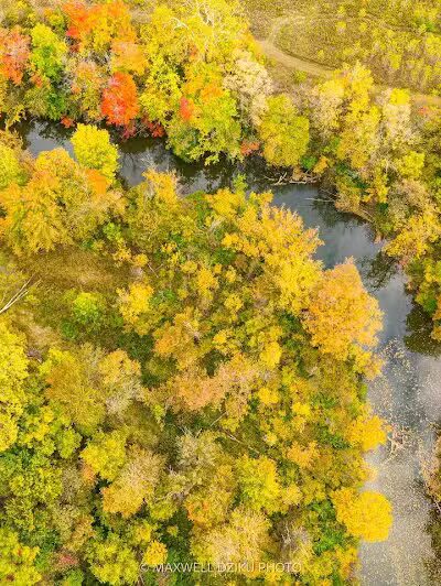 Milan Nature Park - Milan,