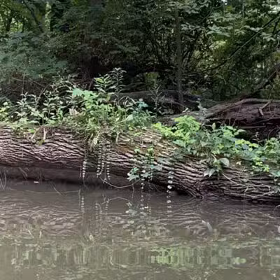 Milan Nature Park - Milan,