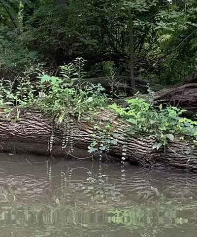 Milan Nature Park - Milan,