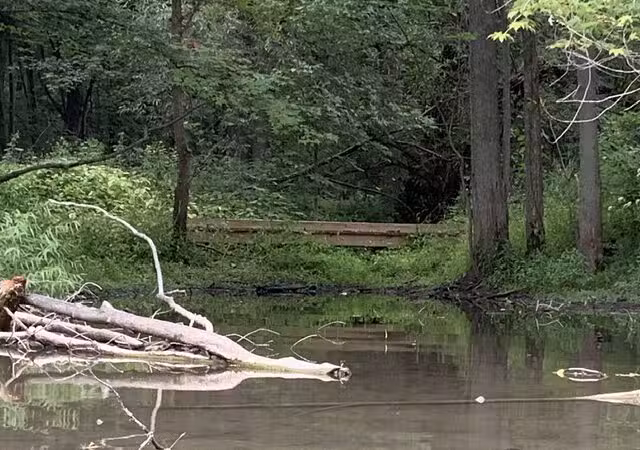 Milan Nature Park - Milan,