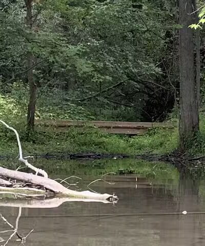 Milan Nature Park - Milan,