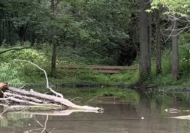 Milan Nature Park - Milan,