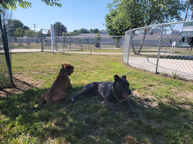 Milford Dog Park - Milford,