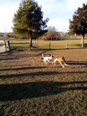 Milford Dog Park - Milford, MI