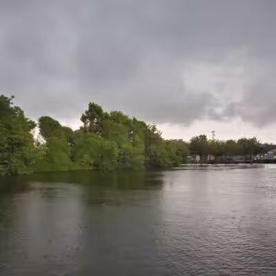 Milford Dog Park - Milford,