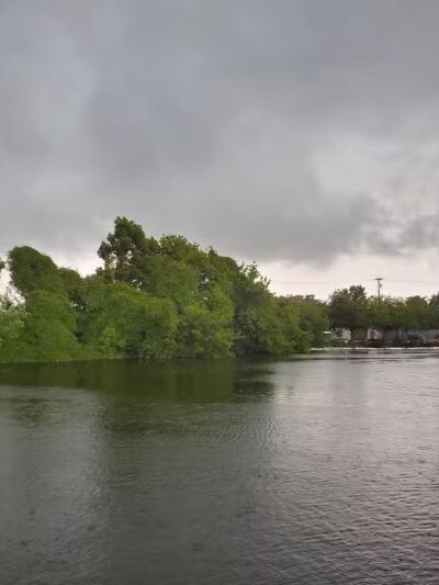 Milford Dog Park - Milford,