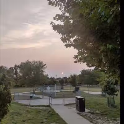 Milford Dog Park - Milford,