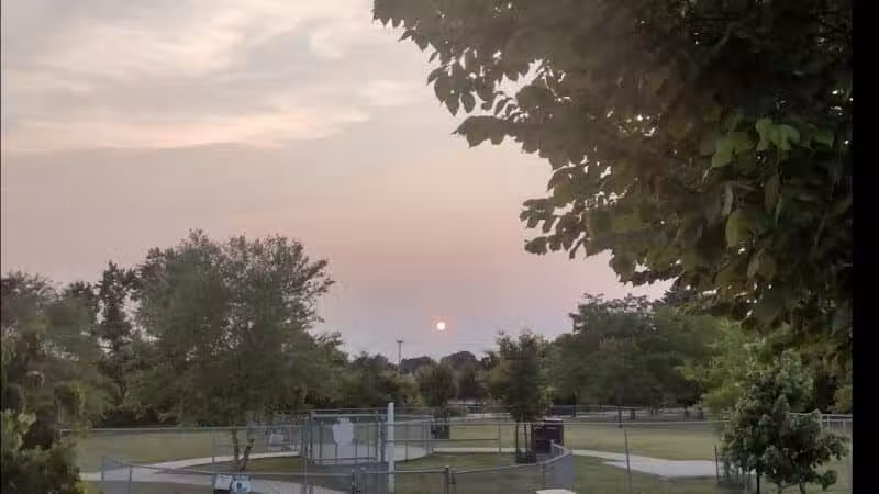 Milford Dog Park - Milford,