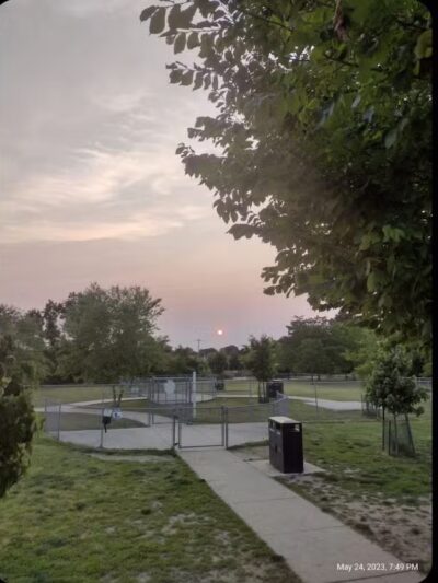 Milford Dog Park - Milford,