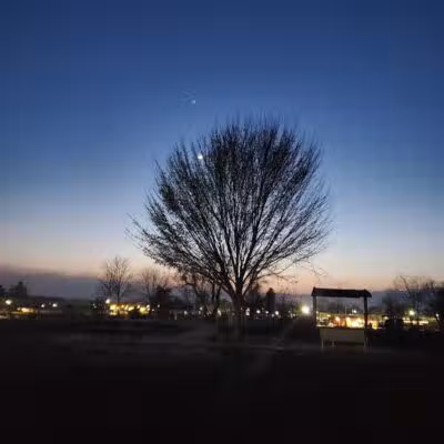 Milford Dog Park - Milford,