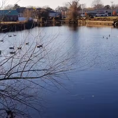 Milford Dog Park - Milford,
