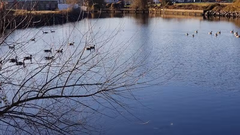 Milford Dog Park - Milford,