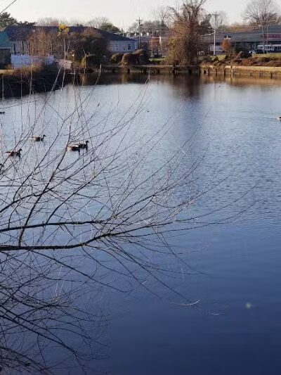 Milford Dog Park - Milford,