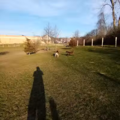 Milford Dog Park - Milford, MI