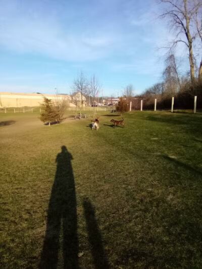 Milford Dog Park - Milford, MI