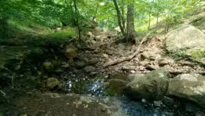 Maple Falls Cascades - Millburn, NJ
