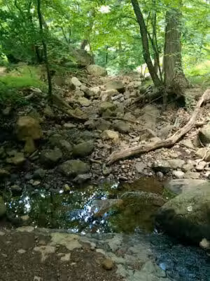 Maple Falls Cascades - Millburn, NJ