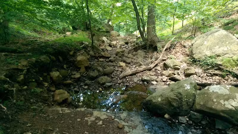Maple Falls Cascades - Millburn, NJ