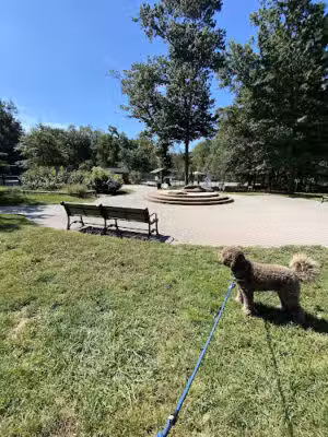 South Mountain Dog Park - Millburn, NJ