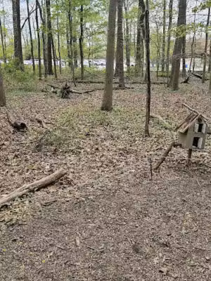 South Mountain - Fairy Trail - Millburn, NJ