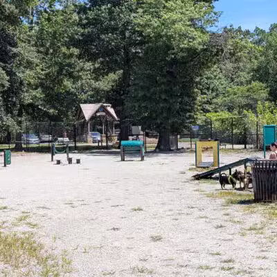 South Mountain Dog Park - Millburn, NJ