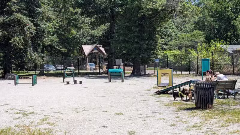 South Mountain Dog Park - Millburn, NJ