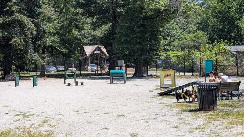 South Mountain Dog Park - Millburn, NJ