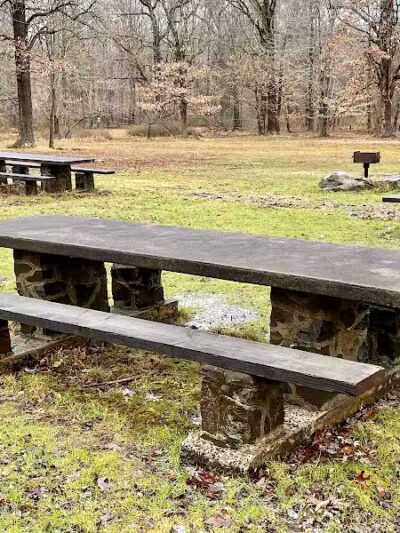 South Mountain Dog Park - Millburn,