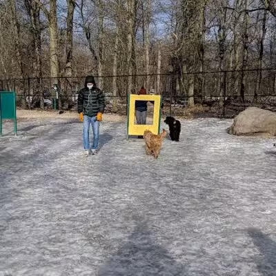 South Mountain Dog Park - Millburn,