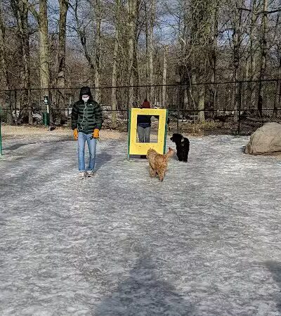 South Mountain Dog Park - Millburn,