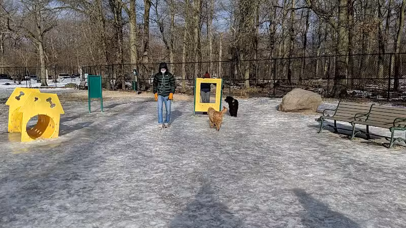 South Mountain Dog Park - Millburn,