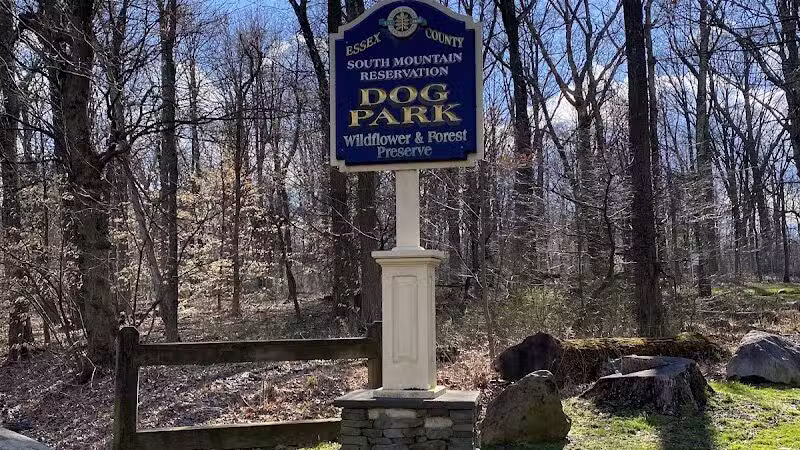 South Mountain Dog Park - Millburn,