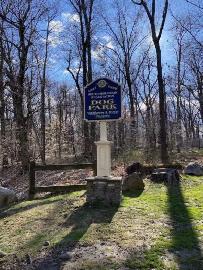 South Mountain Dog Park - Millburn,