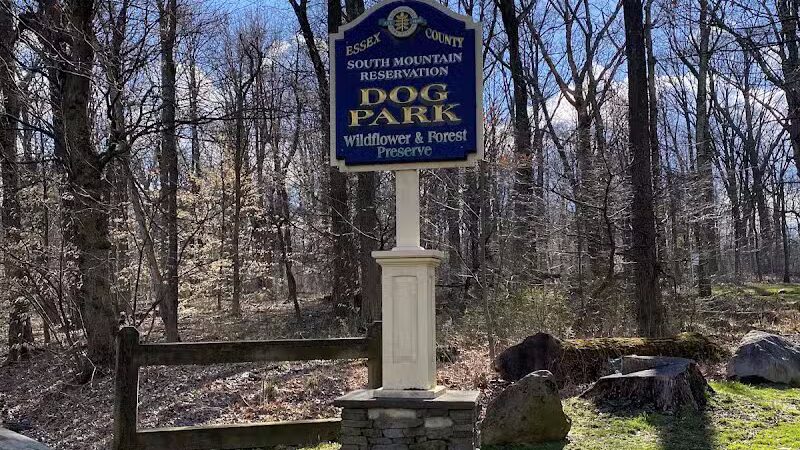 South Mountain Dog Park - Millburn,