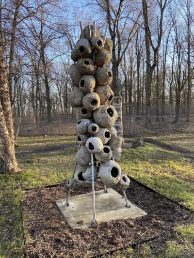 South Mountain Dog Park - Millburn,