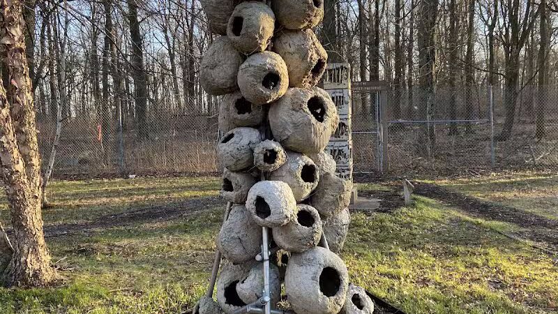 South Mountain Dog Park - Millburn,