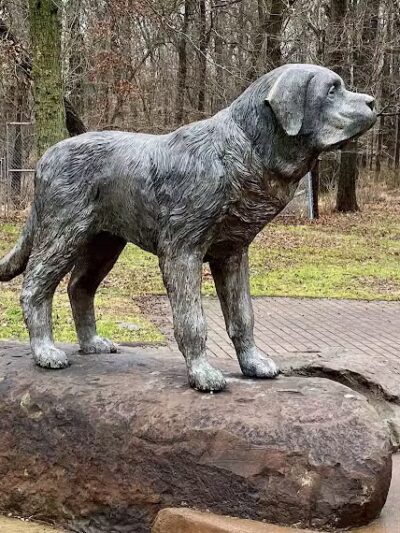 South Mountain Dog Park - Millburn,