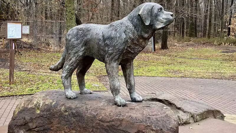 South Mountain Dog Park - Millburn,