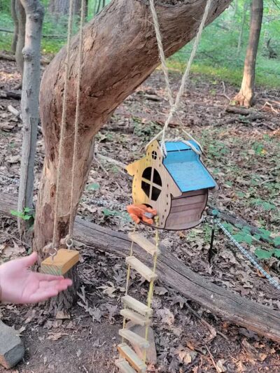 South Mountain - Fairy Trail - Millburn, NJ