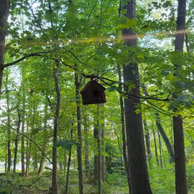 South Mountain - Fairy Trail - Millburn, NJ