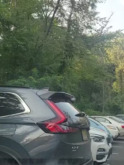 South Mountain - Fairy Trail - Millburn, NJ