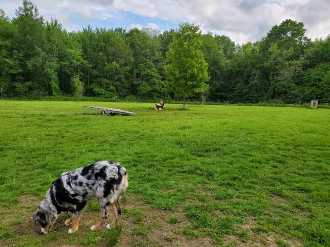 Butler Farm Dog Park - Millbury, MA